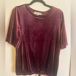 Loft Velvet Top